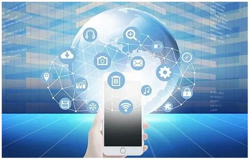 軟件開發(fā)成果保護(hù) 策略與實(shí)踐